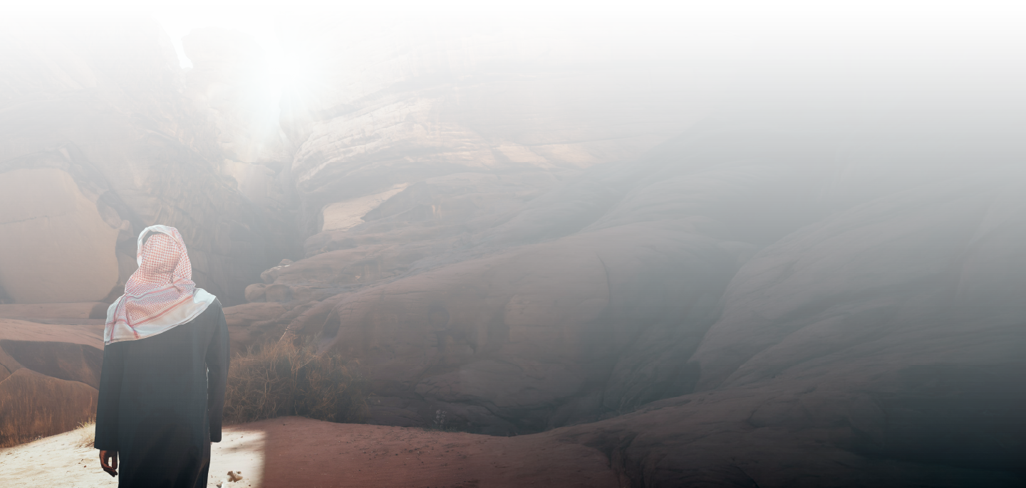 Cinematic desert canyon placeholder